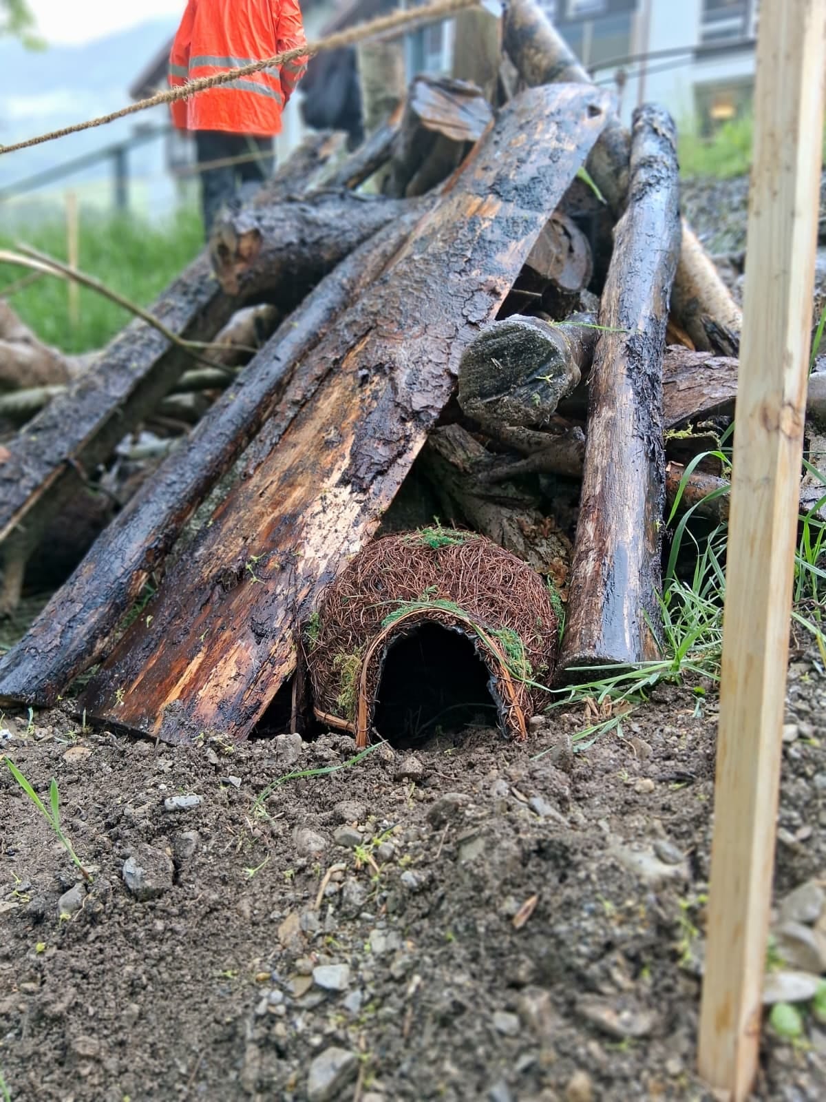 Biodiversitätsinsel