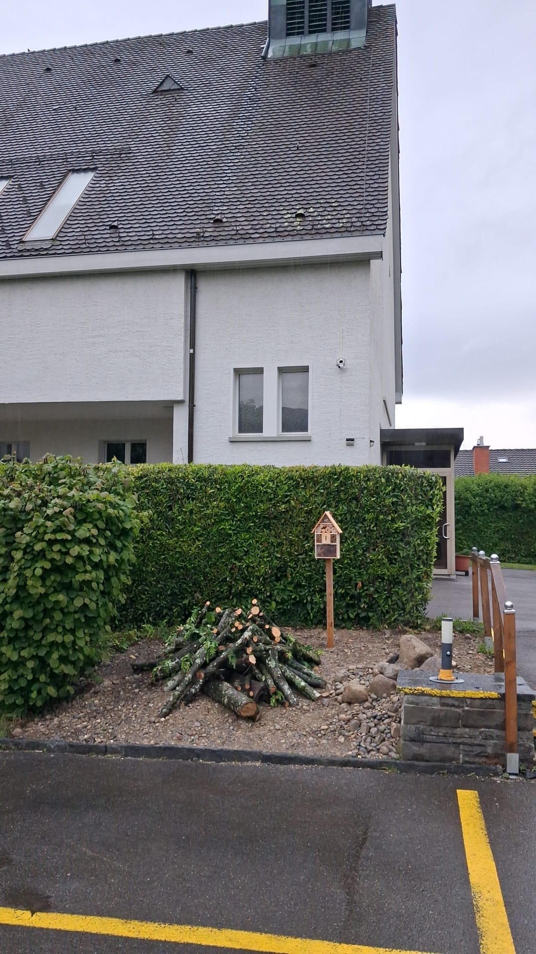 Biodiversitätsinsel
