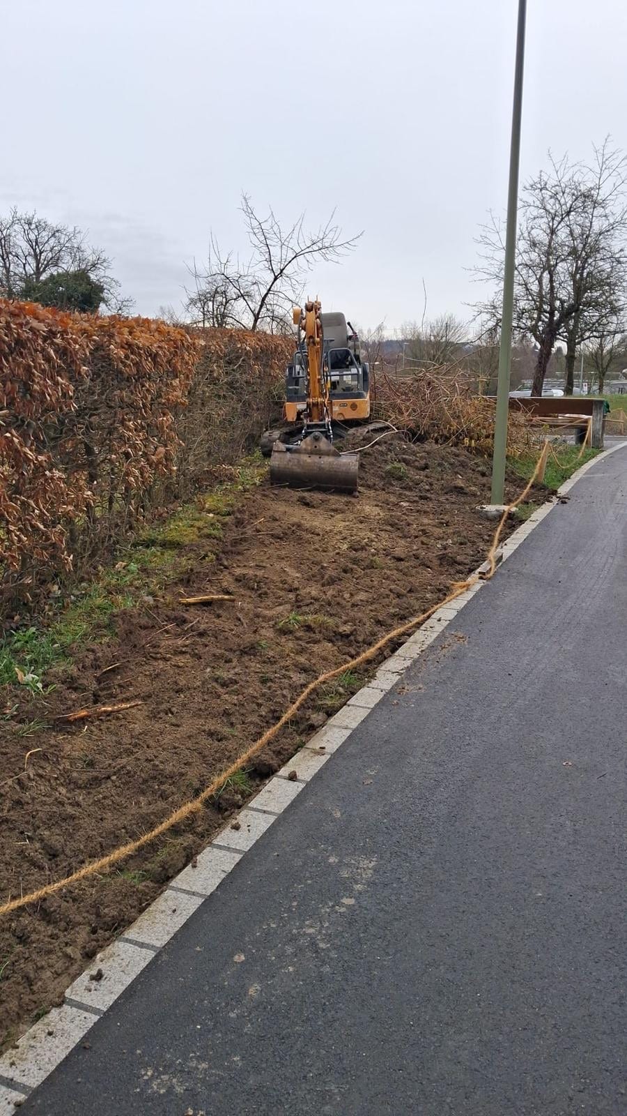 Biodiversitätsinsel