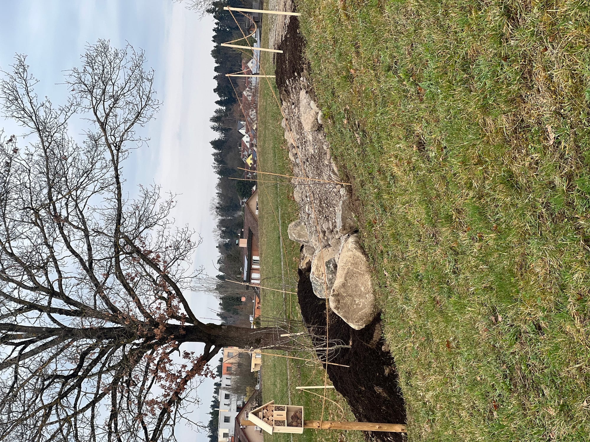 Biodiversitätsinseln – Bild 6